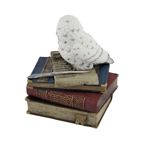 Wise Snow Owl Resting on Scholar`s Books Trinket Box - Picture 3 of 5